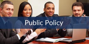 Public Policy